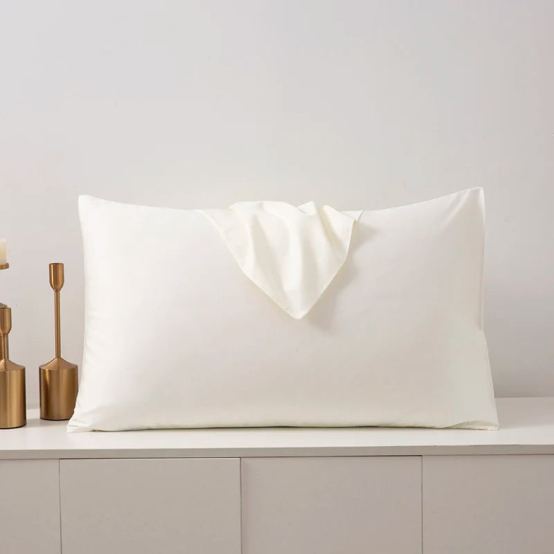 Set of 2 Premium Egyptian Cotton Pillowcases